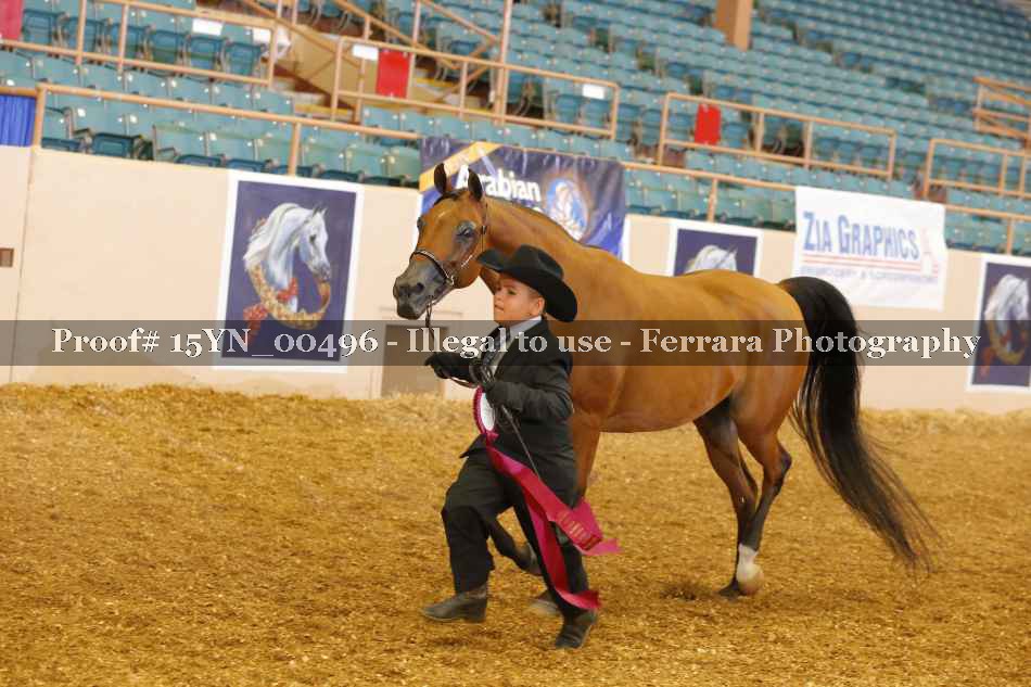 Proof 15YN_00496