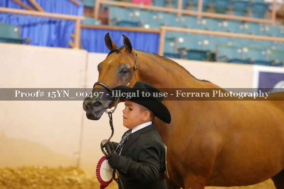 Proof 15YN_00497