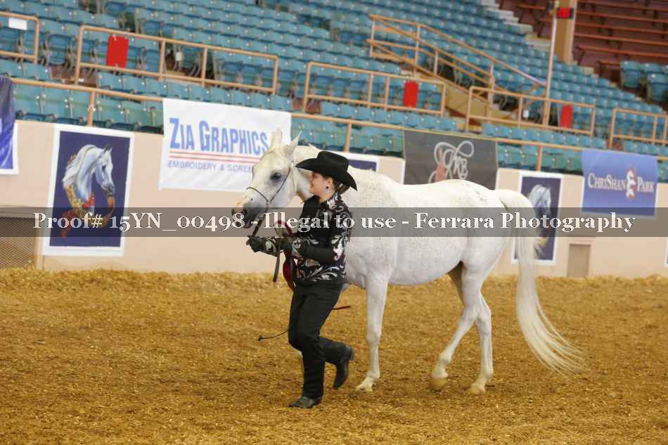 Proof 15YN_00498
