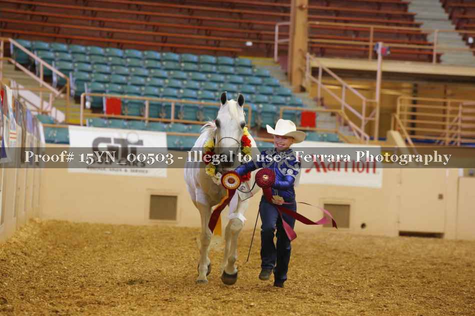 Proof 15YN_00503