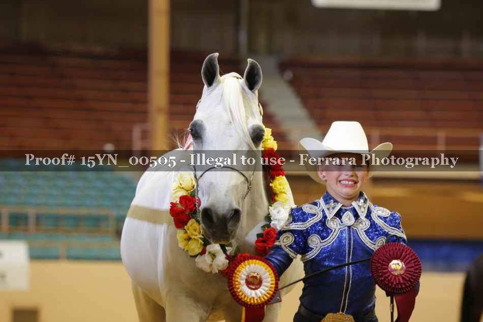Proof 15YN_00505