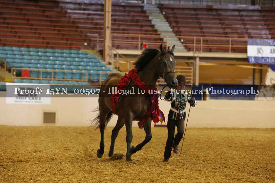 Proof 15YN_00507