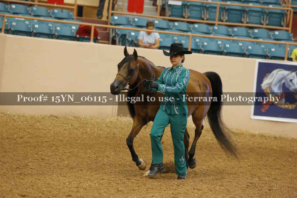 Proof 15YN_06115