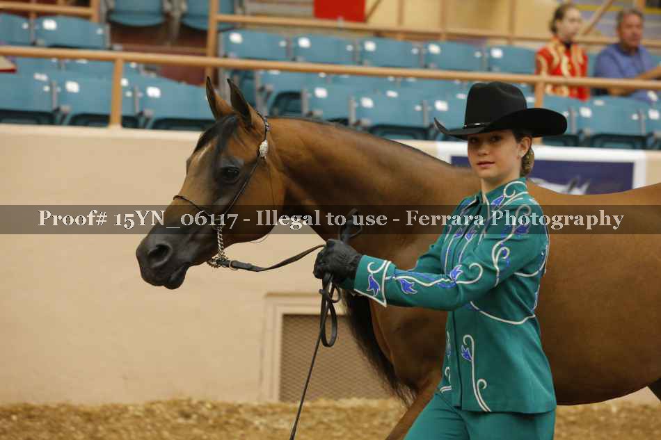 Proof 15YN_06117
