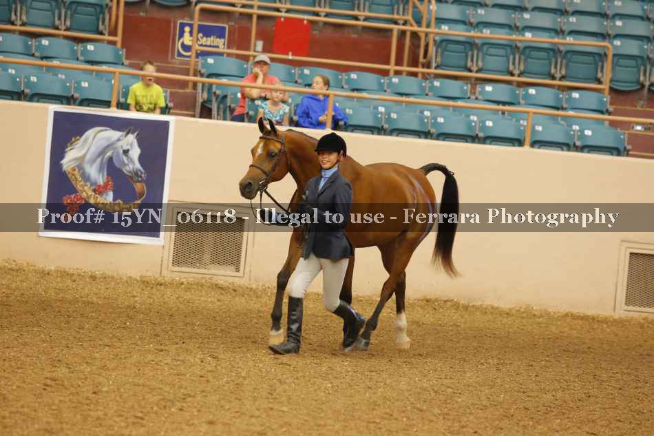 Proof 15YN_06118