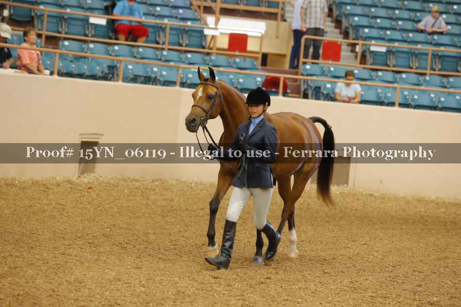 Proof 15YN_06119