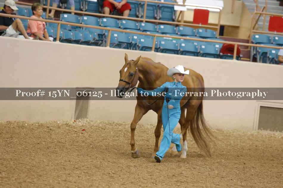 Proof 15YN_06125