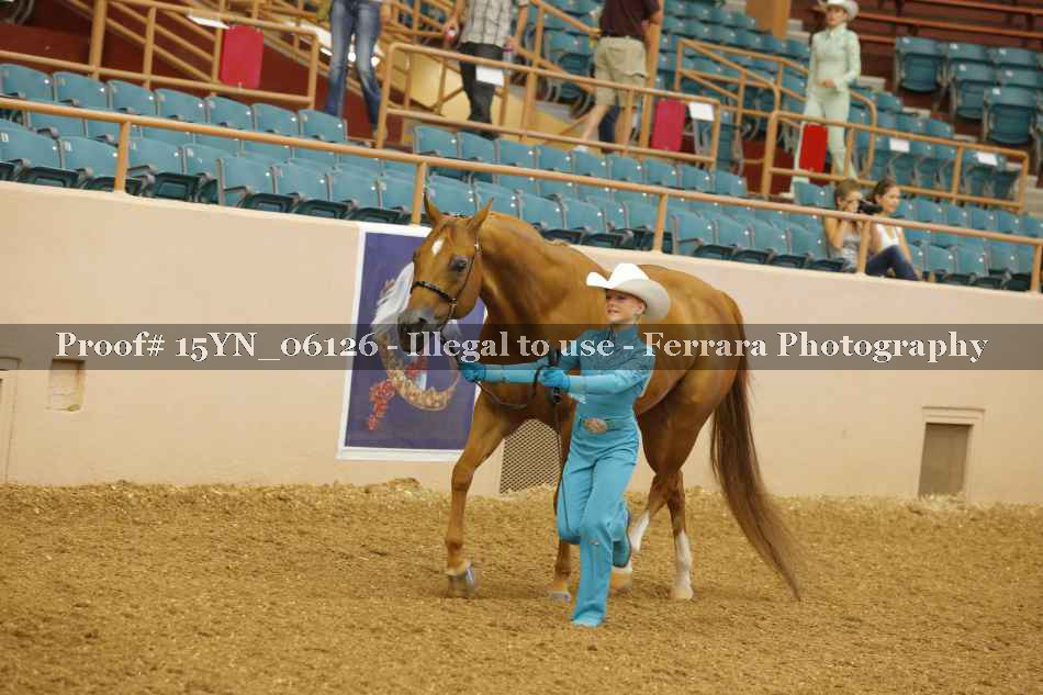 Proof 15YN_06126