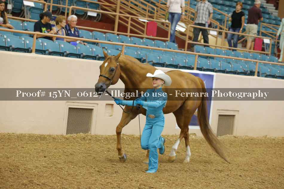 Proof 15YN_06127