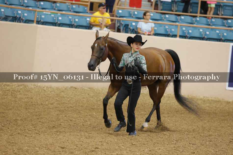 Proof 15YN_06131