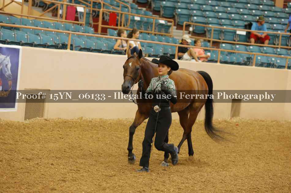 Proof 15YN_06133