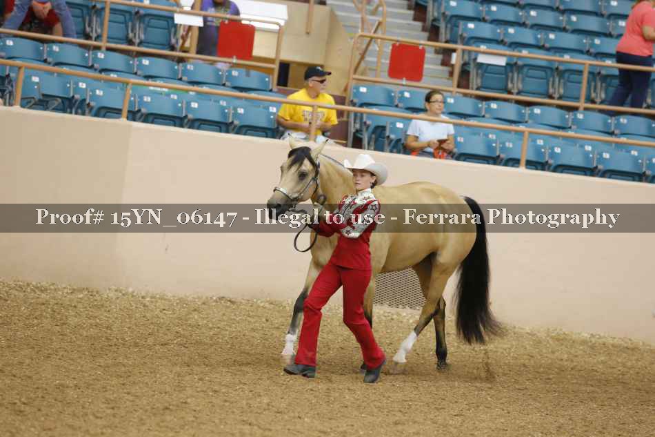 Proof 15YN_06147