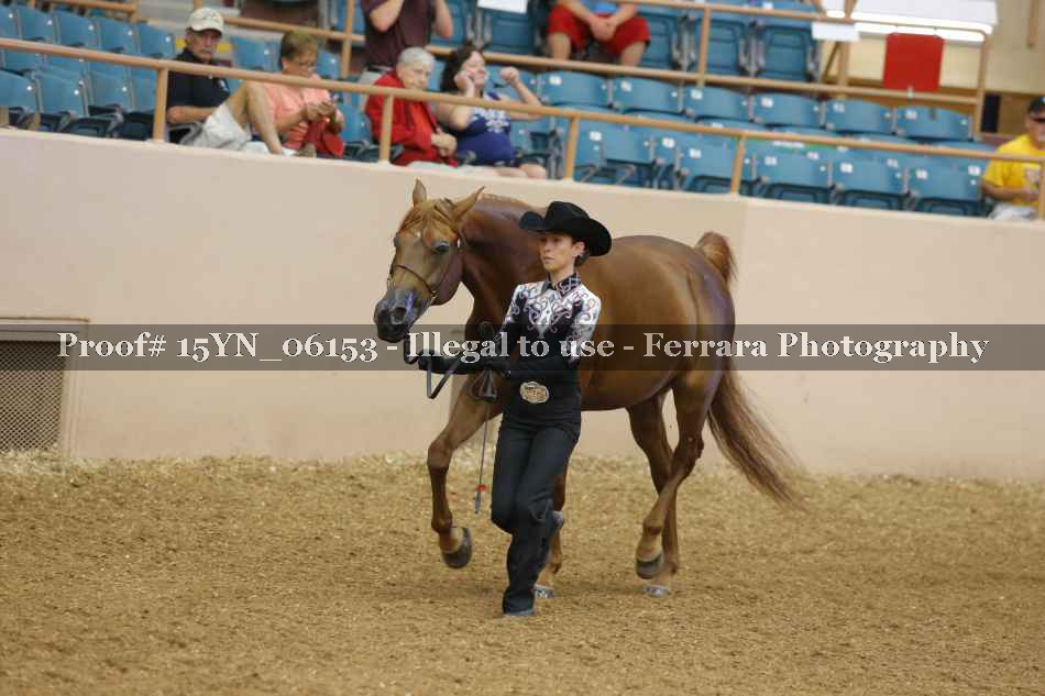 Proof 15YN_06153