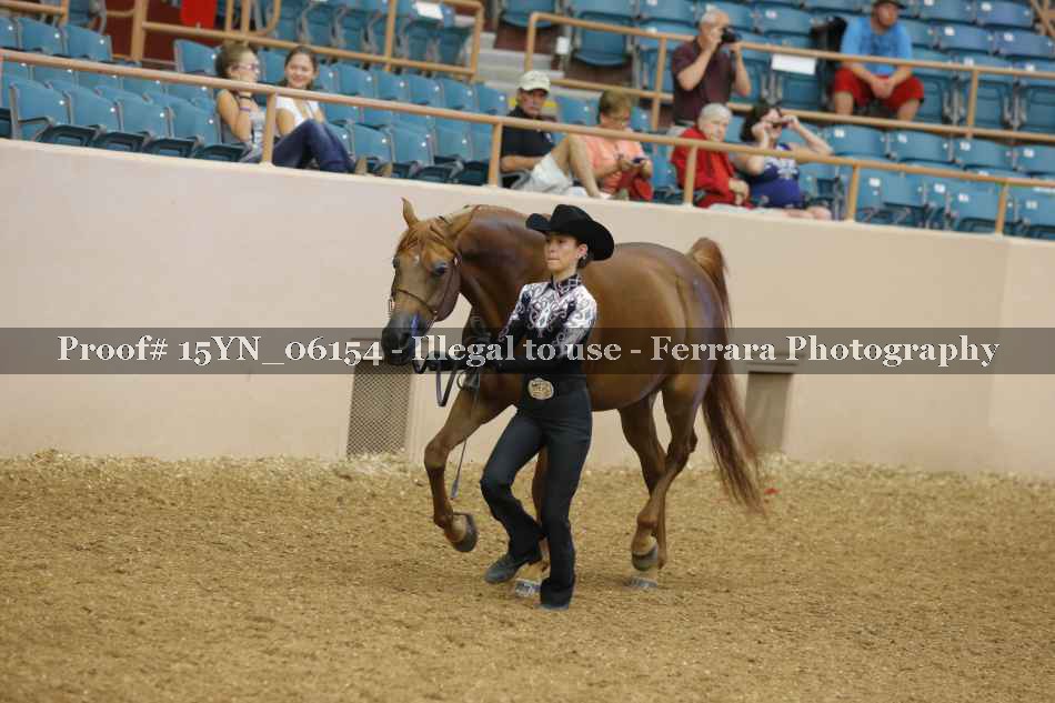 Proof 15YN_06154