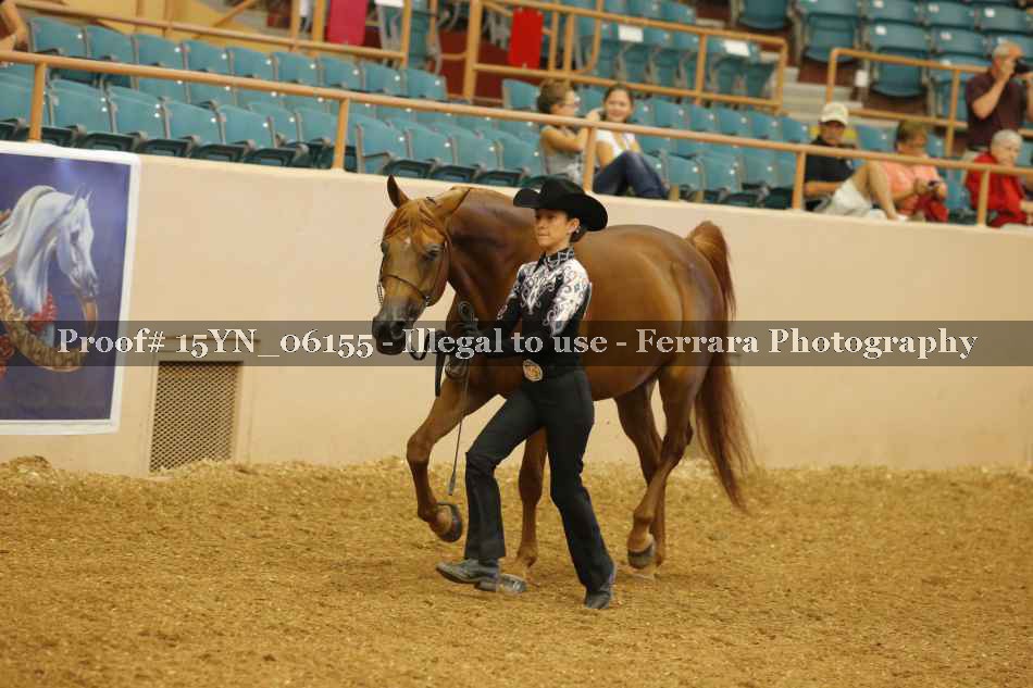 Proof 15YN_06155