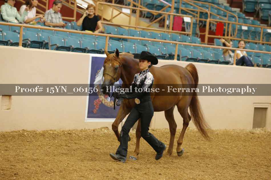 Proof 15YN_06156