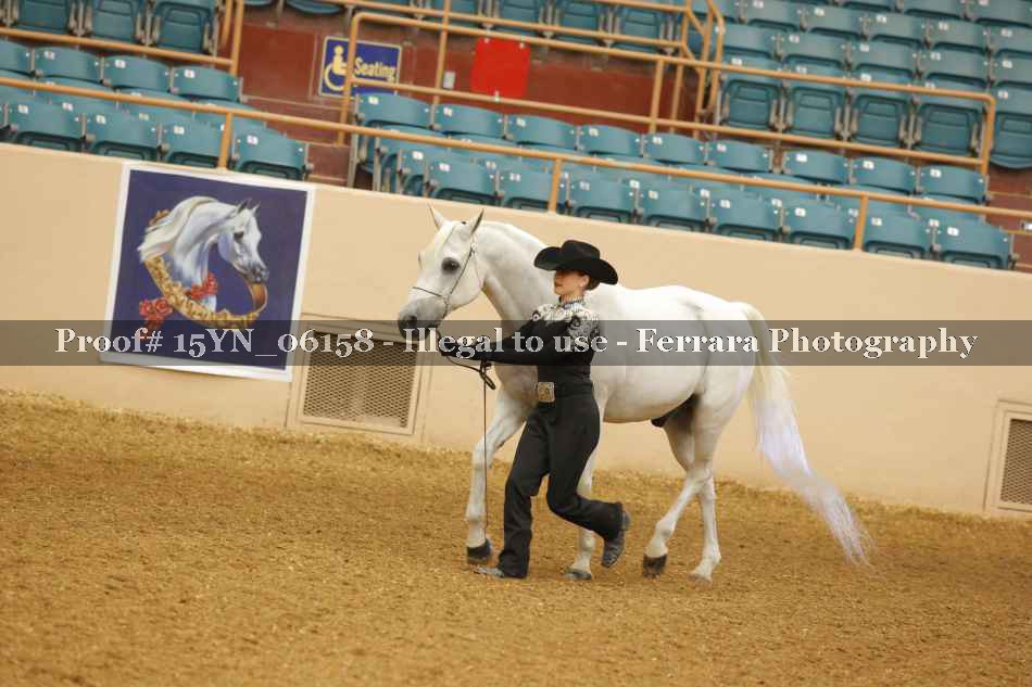 Proof 15YN_06158