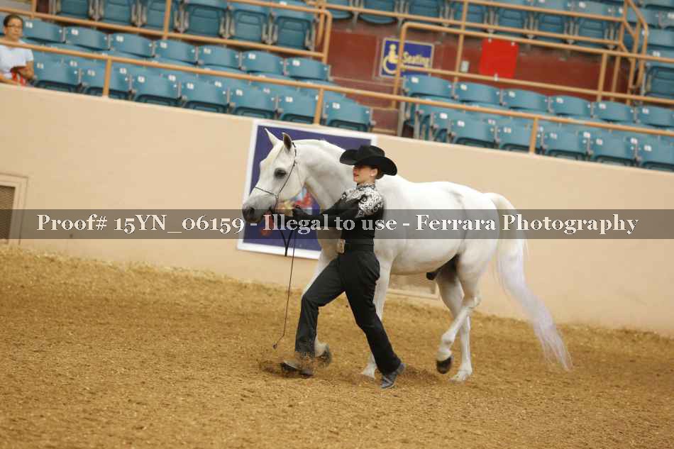 Proof 15YN_06159