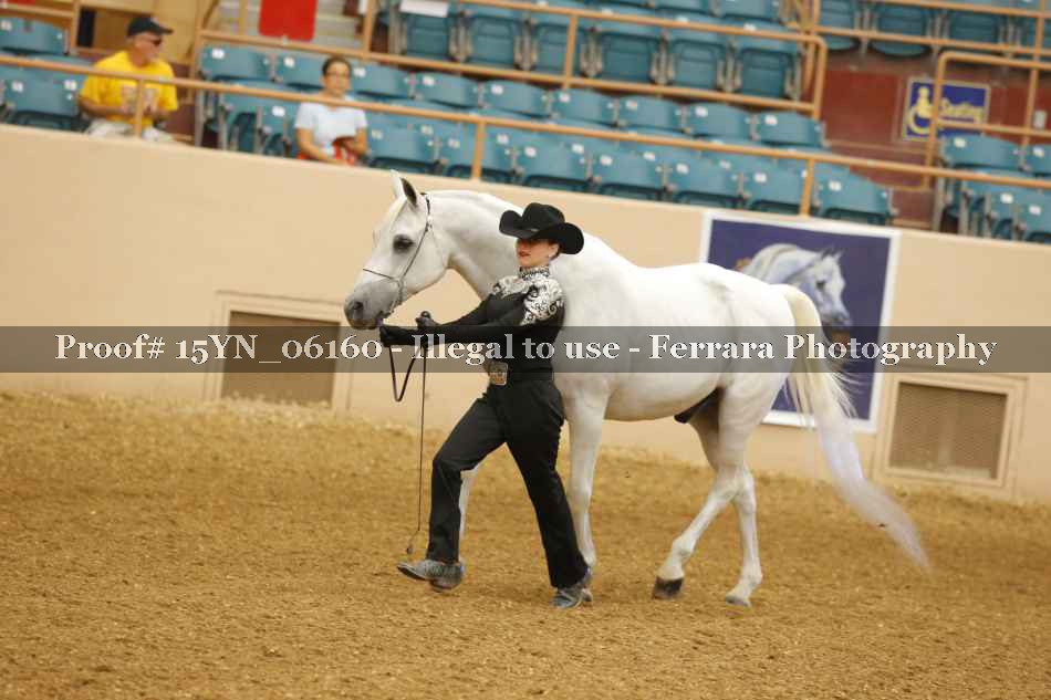 Proof 15YN_06160