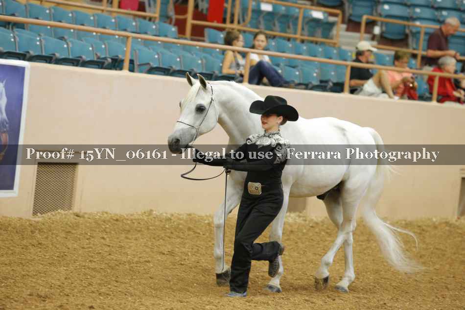 Proof 15YN_06161