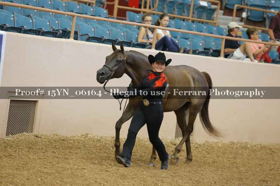 Proof 15YN_06164