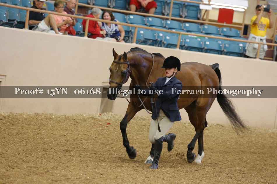 Proof 15YN_06168