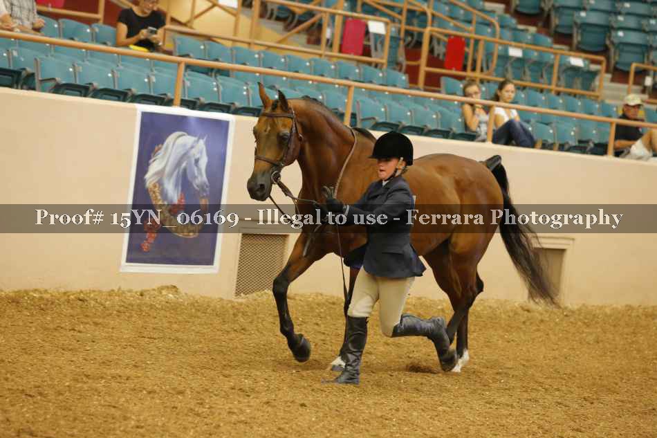Proof 15YN_06169