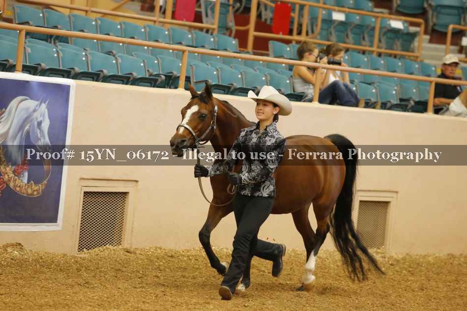 Proof 15YN_06172