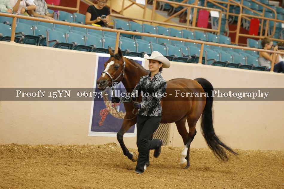 Proof 15YN_06173