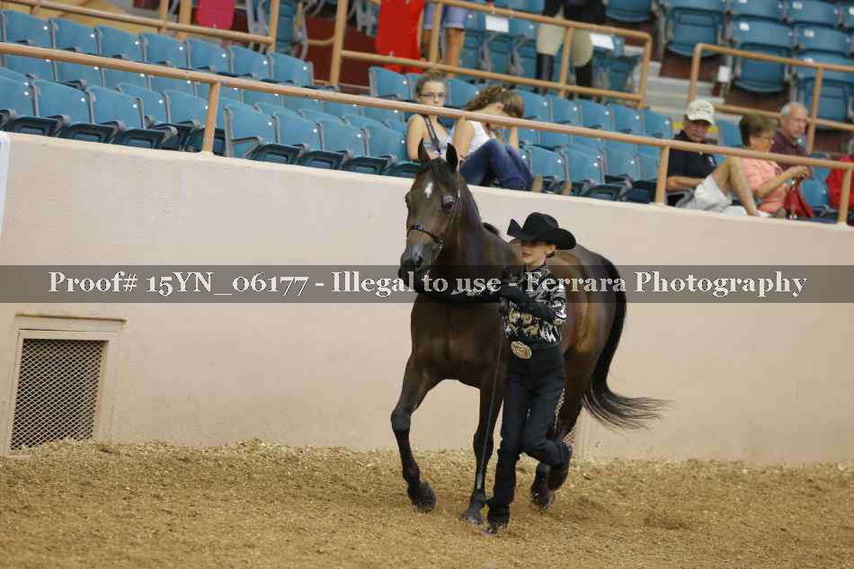 Proof 15YN_06177