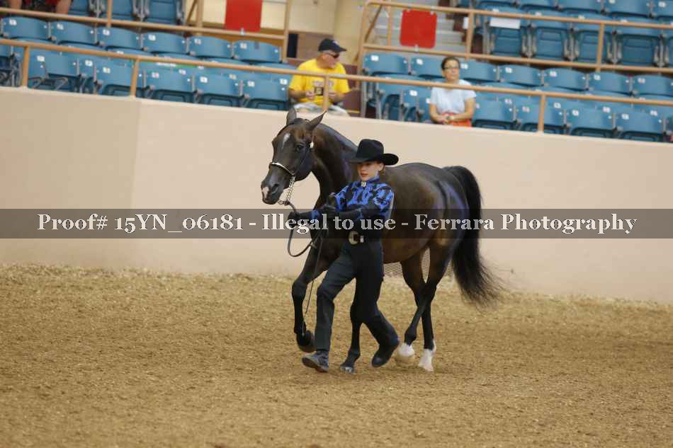 Proof 15YN_06181