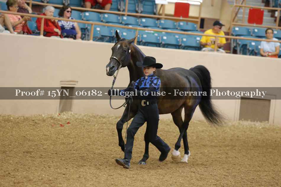 Proof 15YN_06182