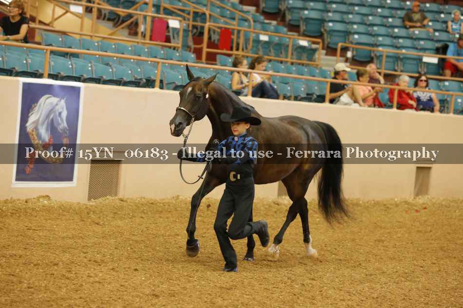 Proof 15YN_06183