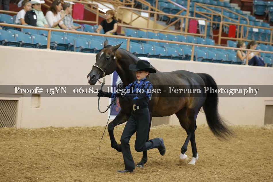 Proof 15YN_06184