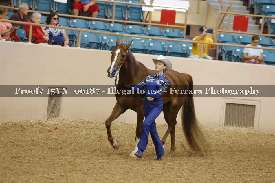 Proof 15YN_06187