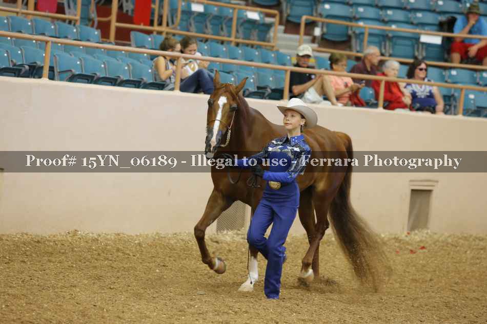 Proof 15YN_06189