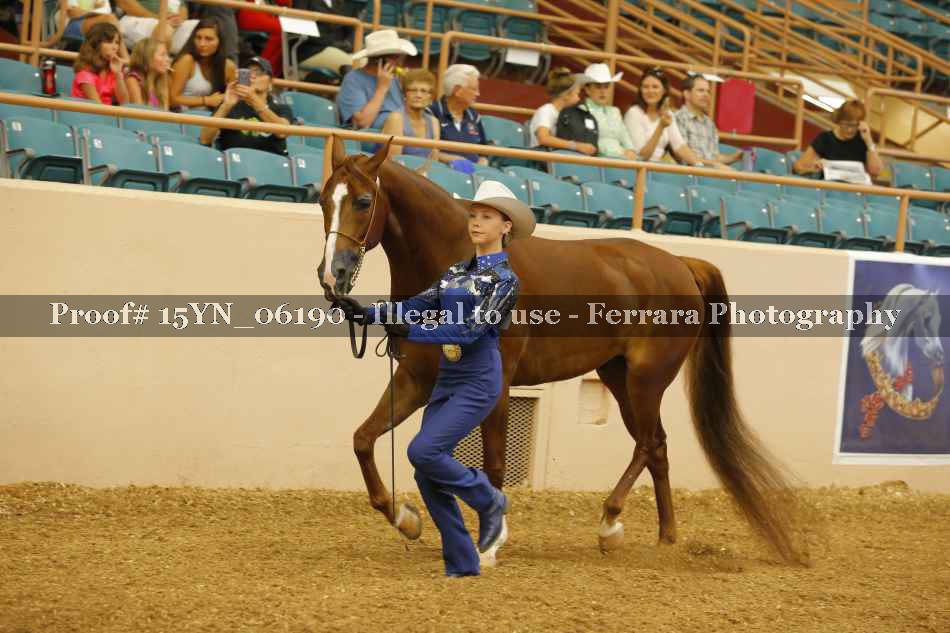 Proof 15YN_06190