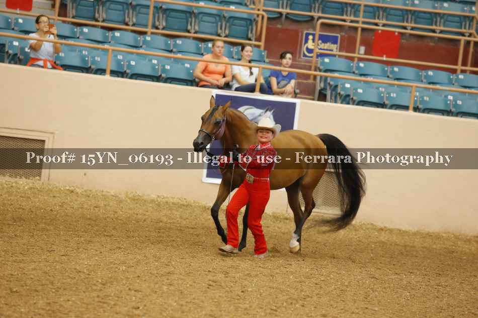 Proof 15YN_06193