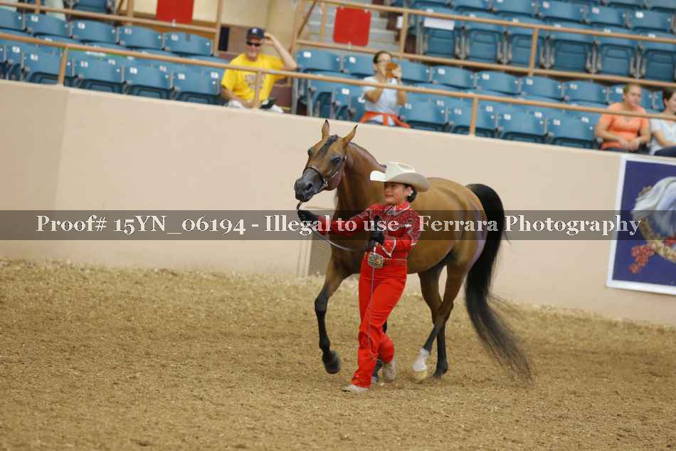 Proof 15YN_06194