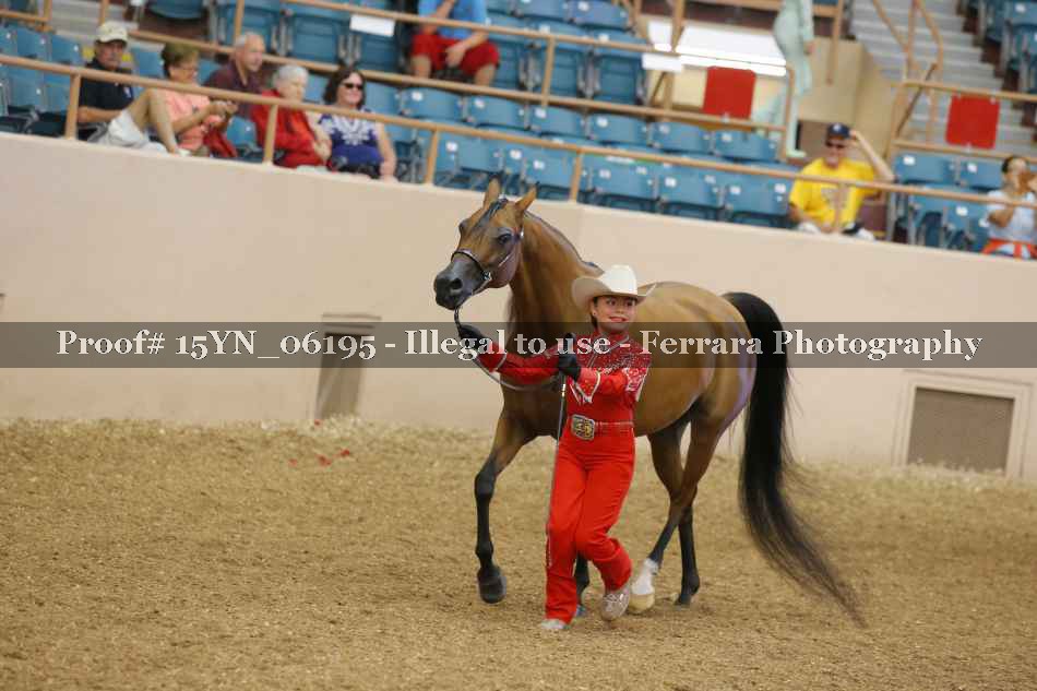 Proof 15YN_06195