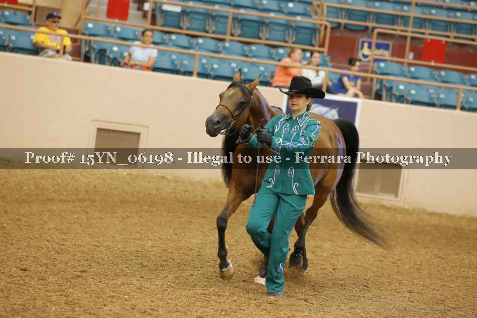 Proof 15YN_06198