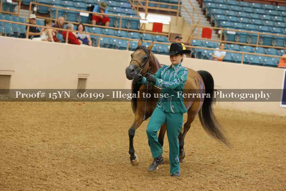 Proof 15YN_06199