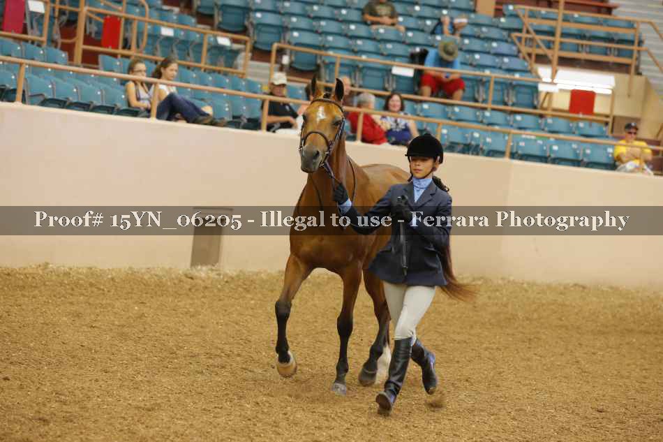 Proof 15YN_06205