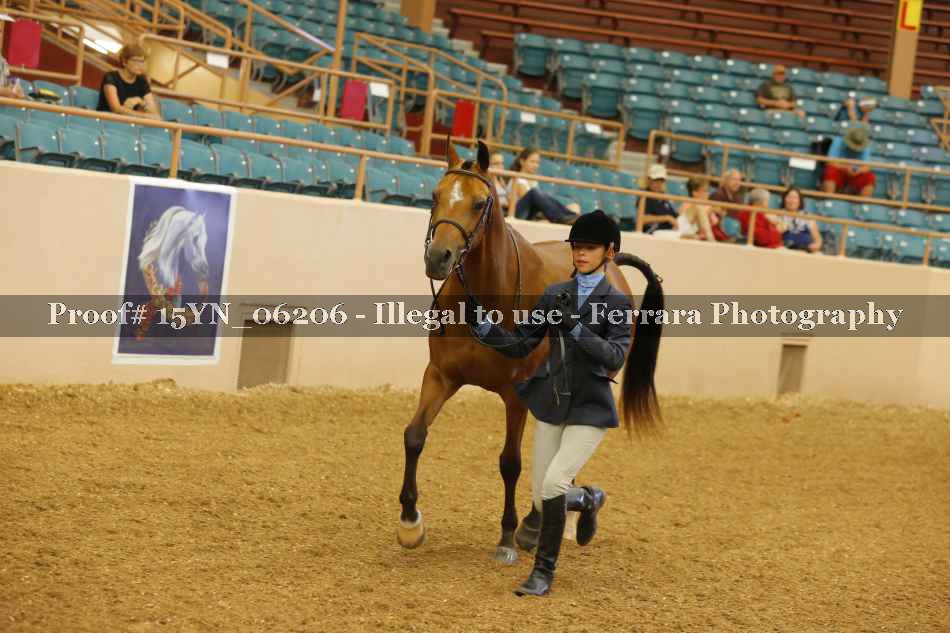 Proof 15YN_06206