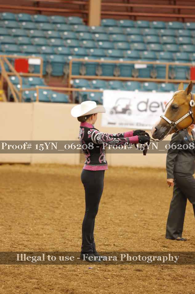 Proof 15YN_06208