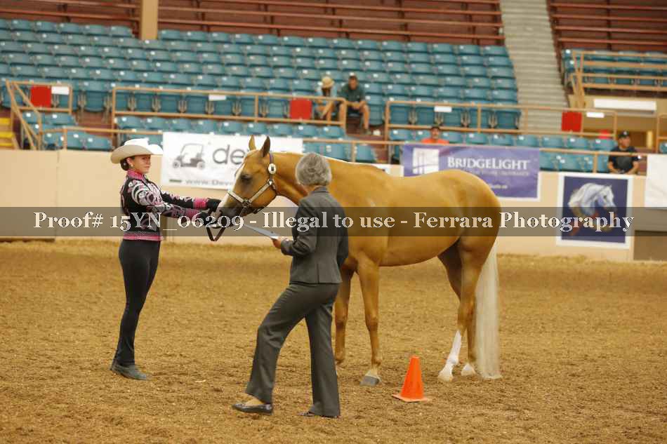 Proof 15YN_06209