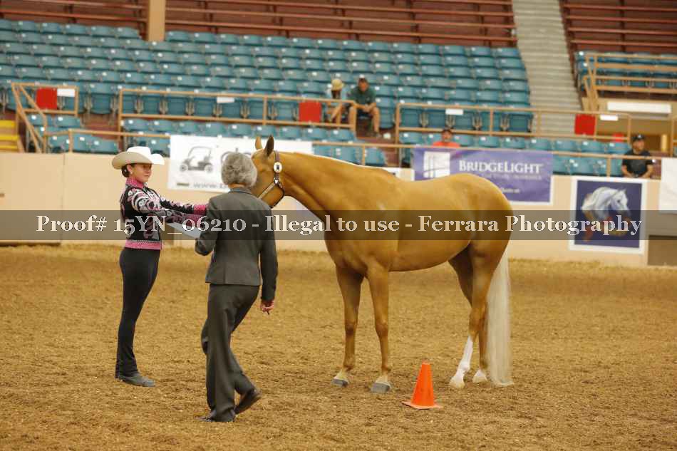 Proof 15YN_06210