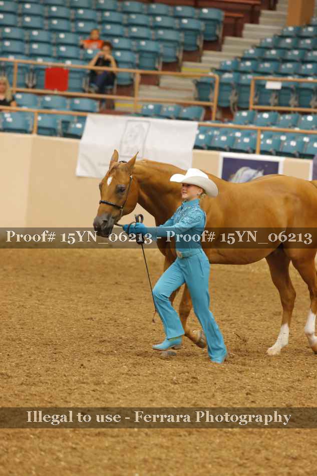 Proof 15YN_06213