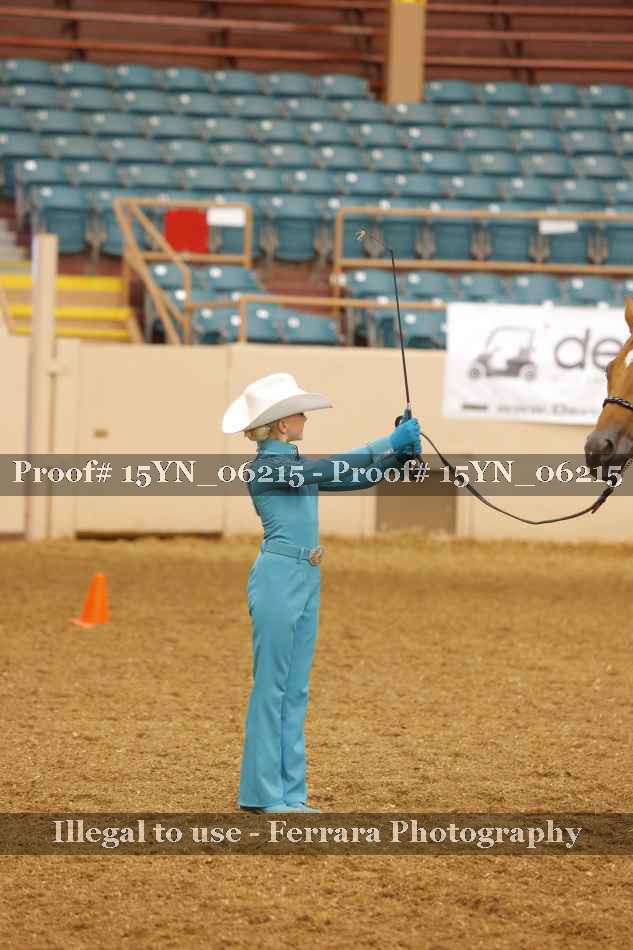 Proof 15YN_06215