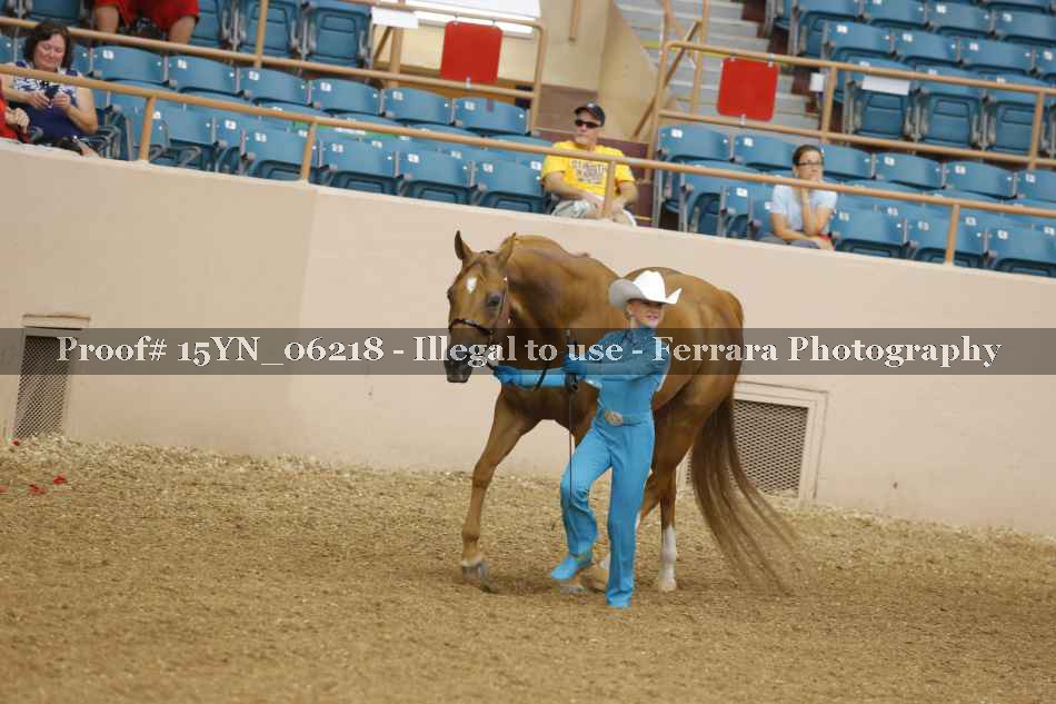 Proof 15YN_06218